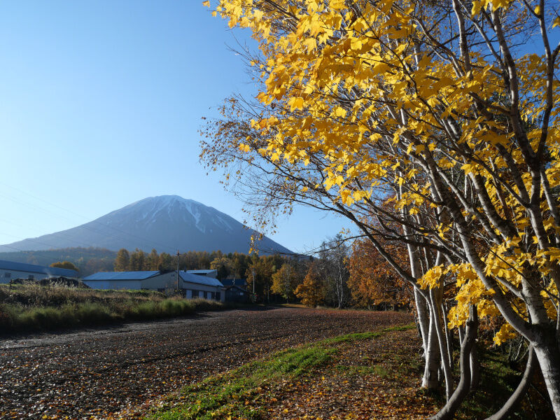 景色 逆さ羊蹄山が見られる数少ないスポット 羊蹄山の美味しい水も飲める 羊蹄山の湧水 北海道よりみち話 北海道の果てまで行ってみよう