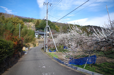 IMGP0152
