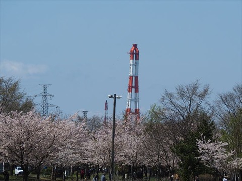 P5051005_R
