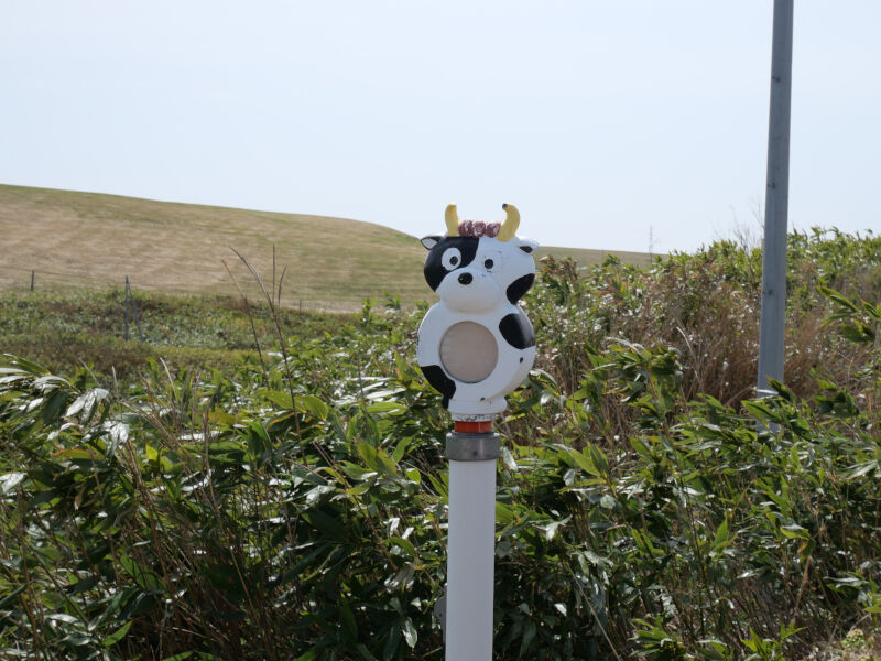 景色】東京ドーム320個分の広大な牧場！見渡す限り草原が続くなだらか