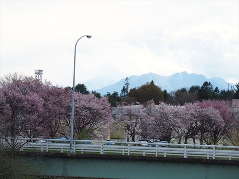 P5052064_R