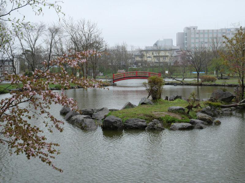花名所 釧路の春を告げるチューリップが咲く公園 5月下旬にはイベントも開催 鶴ヶ岱公園 北海道よりみち話 北海道の果てまで行ってみよう