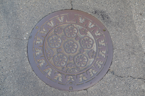 IMGP0265