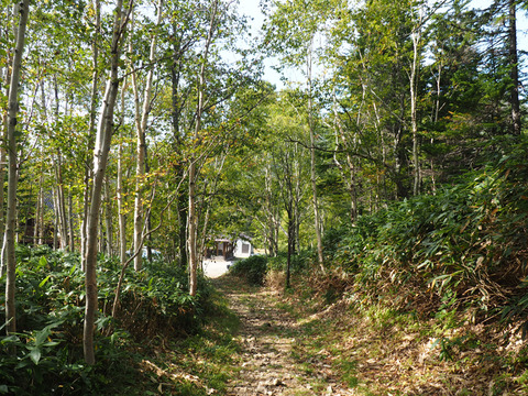 P9150162