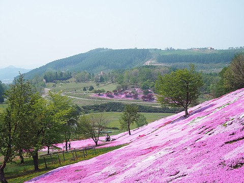 o0800060013659730799