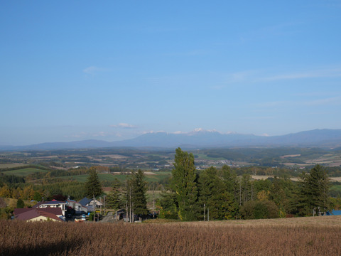 P1293831