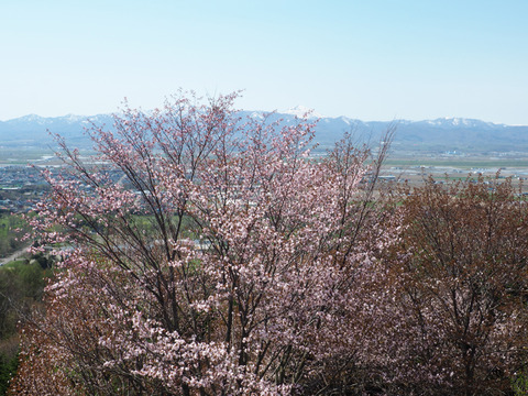 P5052871