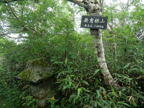 P1270942