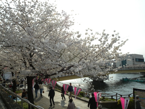 DSCN2944