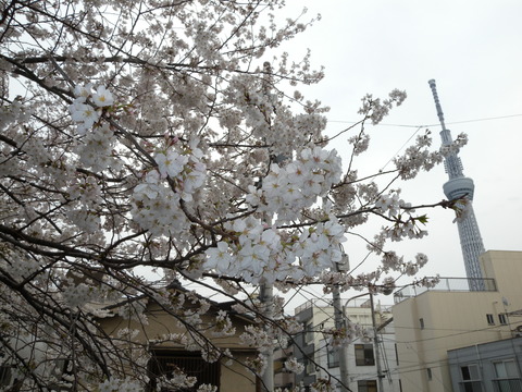 DSCN2938