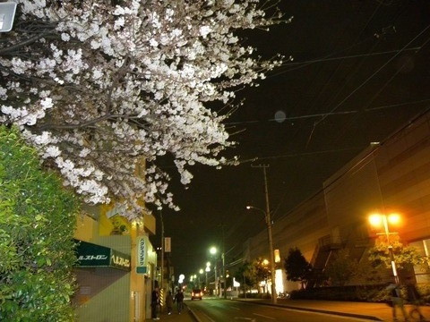 DSCN2960