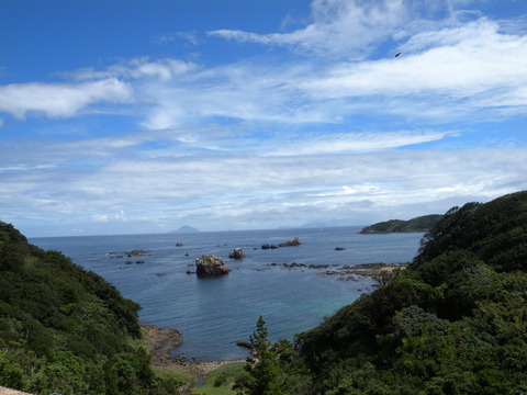 DSCN2639