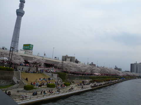 DSCN2935