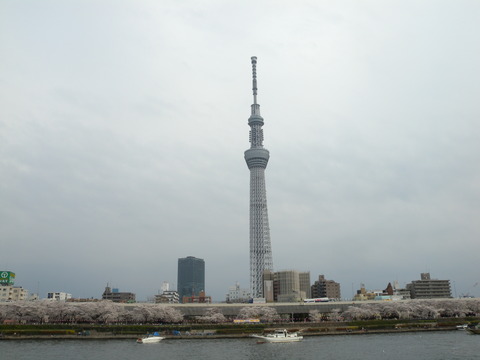 DSCN2928