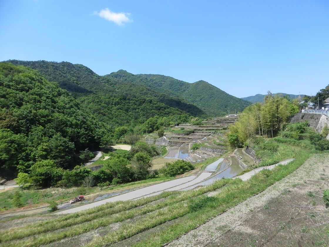 田植え前の小豆島の中山千枚田 さぬきの中心から日々を語る