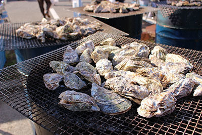 IMG_0277-6e700