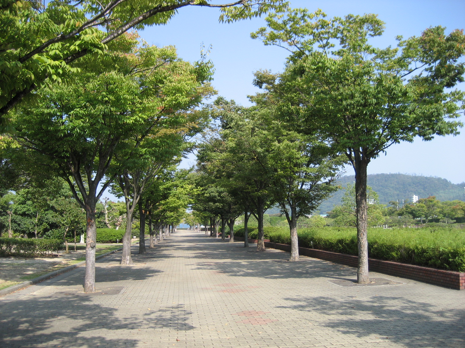 香川県総合運動公園 さぬきの中心から日々を語る
