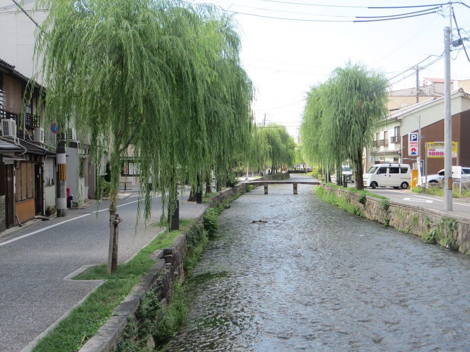 京都白川沿いの有名なロケ地 一本橋 さぬきの中心から日々を語る