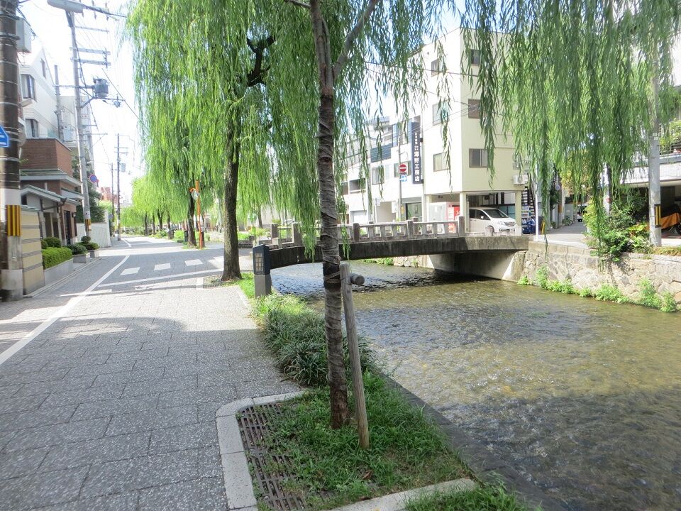 京都白川沿いの有名なロケ地 一本橋 さぬきの中心から日々を語る