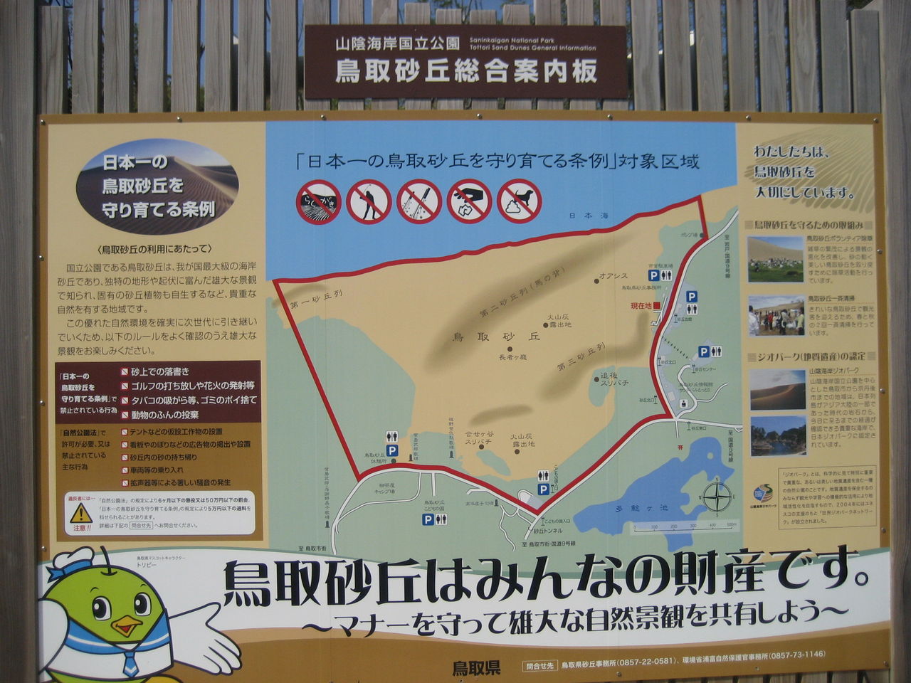 鳥取砂丘 1 2 さぬきの中心から日々を語る 鳥取砂丘 1 2 さぬきの中心から日々を語る