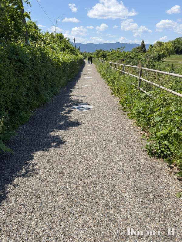 exKusatsuRiverCycling202605D