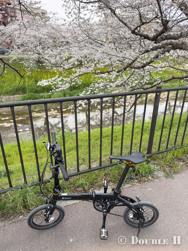 SakuraCycling2026SaboRiver07