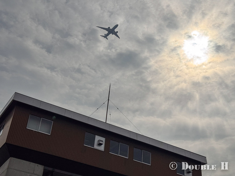 TediousPhoto20260303