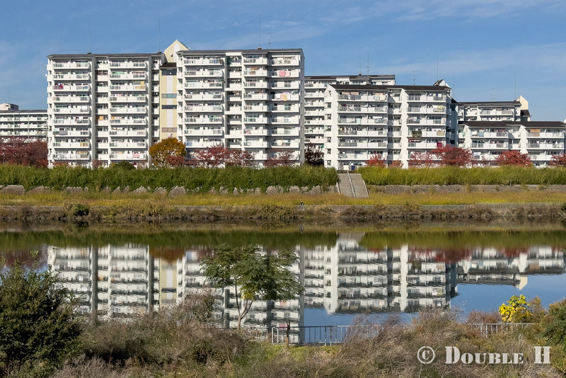 TediousPhoto20251213