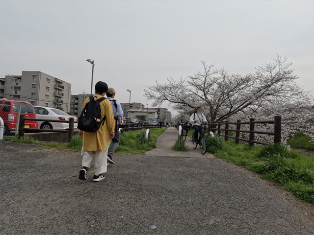 SakuraCycling2026SaboRiverCapture10