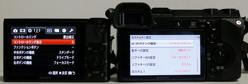 DSC-RX100vsNEX7_07