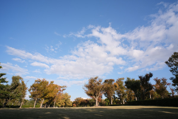 7Artisans12mmF2.8_Sample7