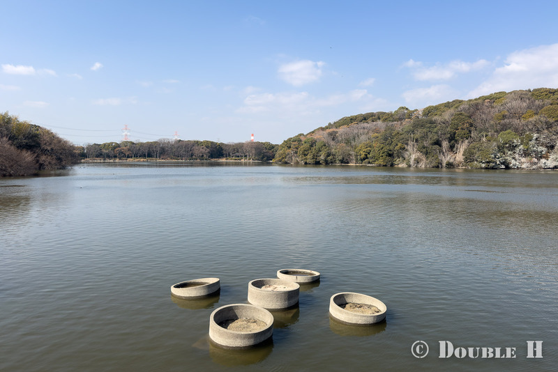 TediousPhoto20260219A