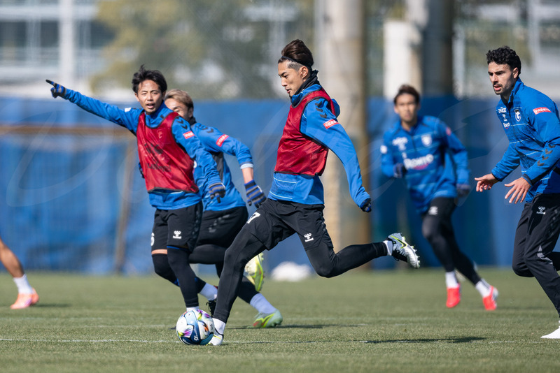 TediousPhoto20260204E