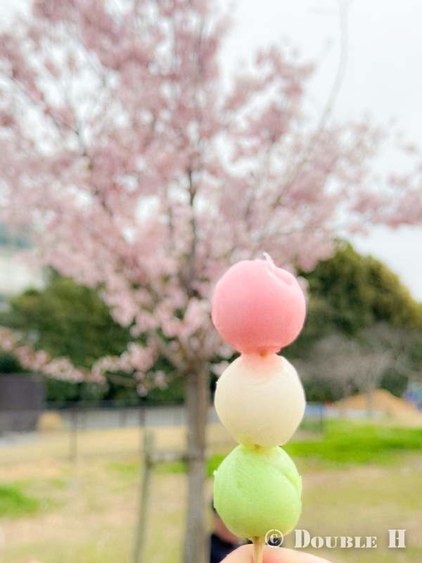 TediousPhoto20240403