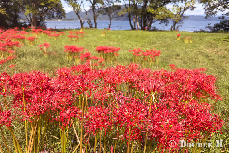 TediousPhoto20251003G