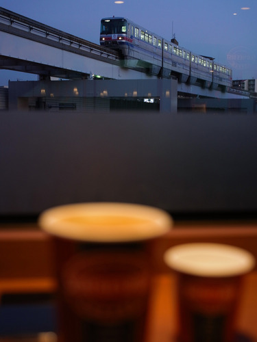 GXR_BlogSample20101207D