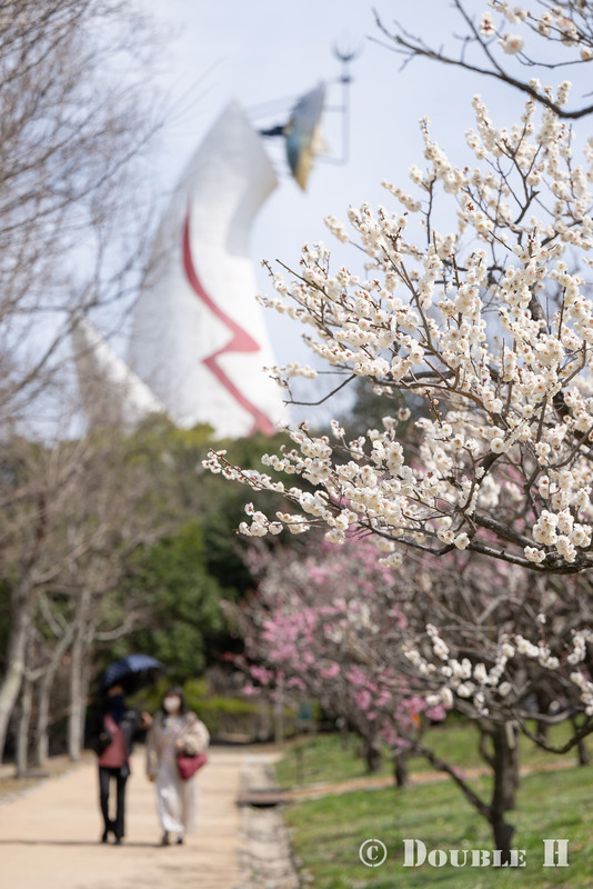 TediousPhoto20250314C