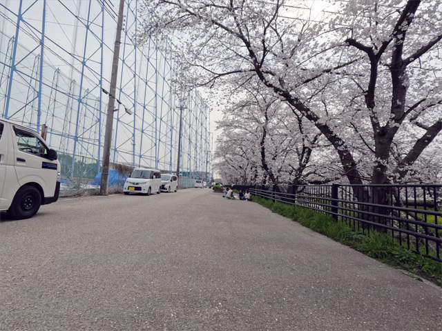 SakuraCycling2026SaboRiverCapture18