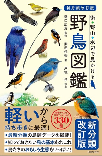 Amazon_Book_YachoZukan