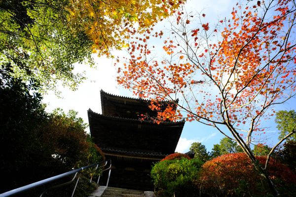 7Artisans12mmF2.8_Sample8