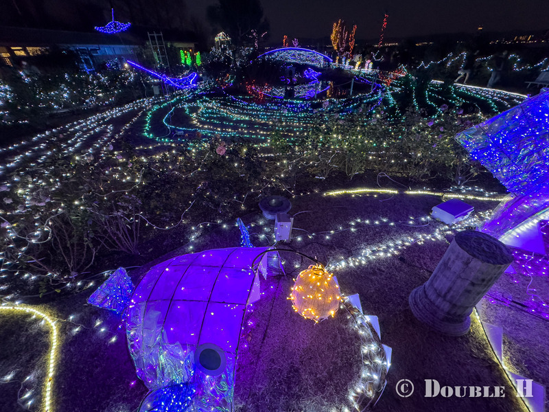 TediousPhoto20260102A