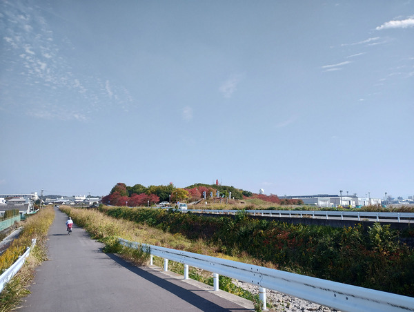 moto_g52j08PhotoSample