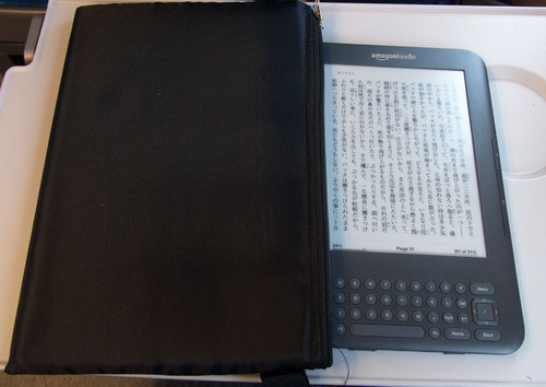 Kindle2Blog20101116C