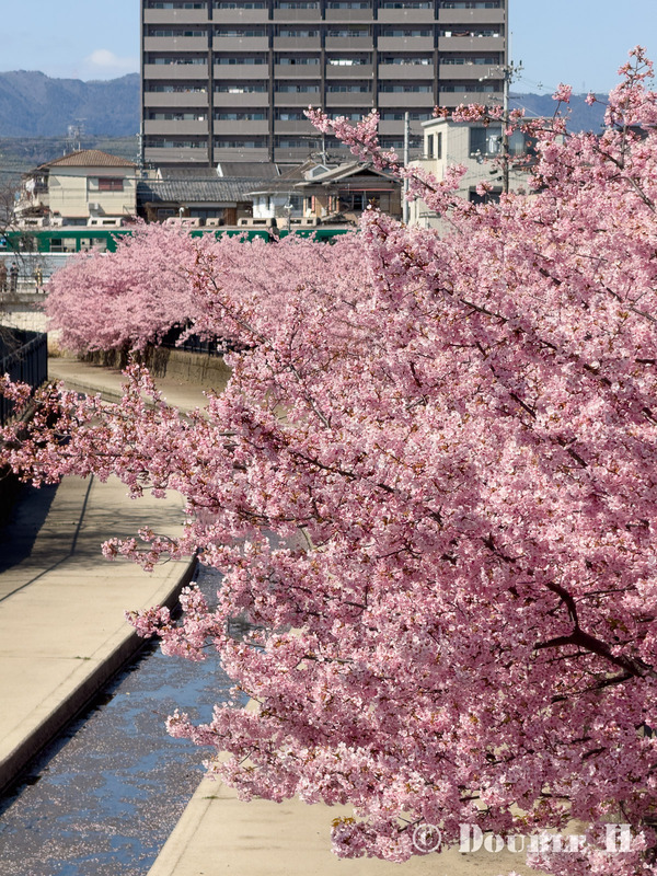 TediousPhoto20260313D