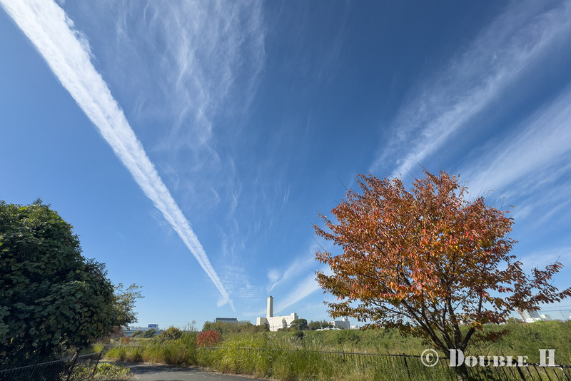 TediousPhoto20251127A