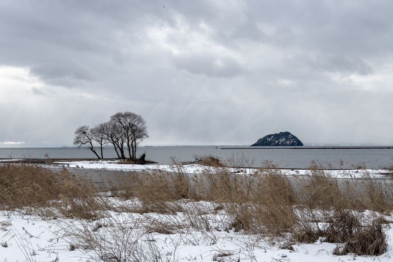 TediousPhoto20260130B