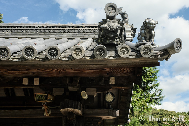 TediousPhoto20241018