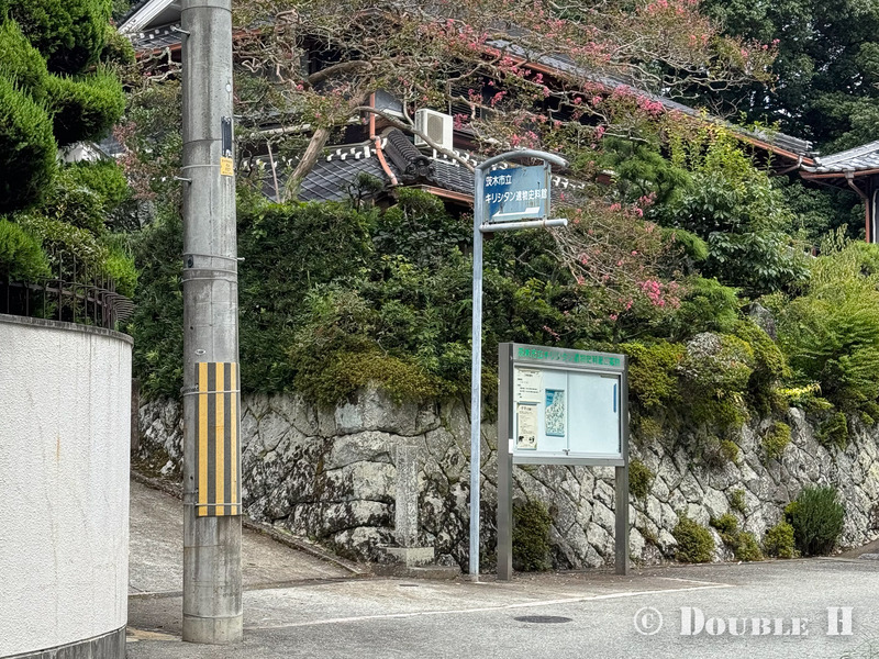 TediousPhoto20250607A