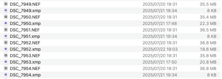 LrCC202506UpdateAINR02