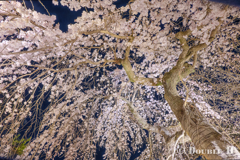 TediousPhoto20250404